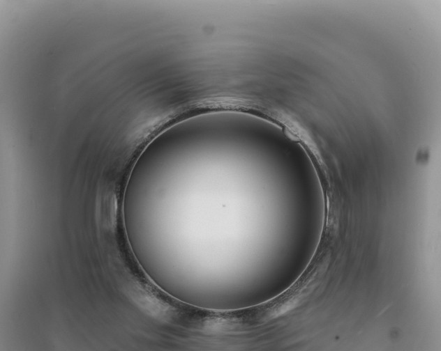 X0000094350109200711091501