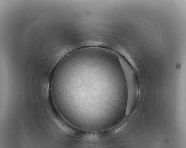 X0000094350110200711091501