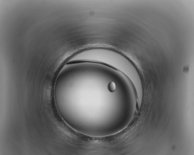 X0000094350111200711091501