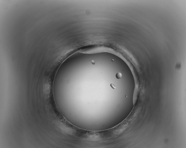 X0000094350113200711091501