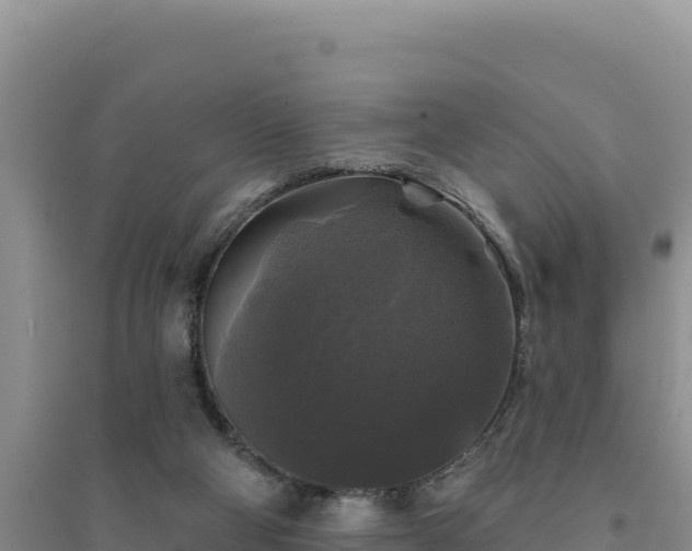 X0000094350114200711091501