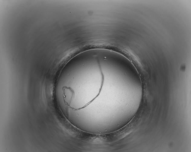 X0000094350115200711091501