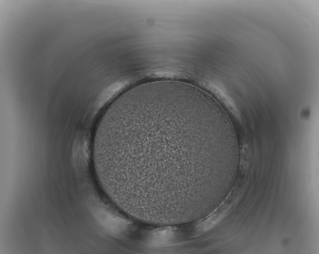 X0000094350116200711091501