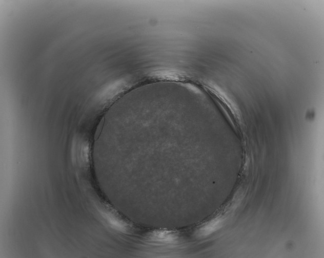 X0000094350117200711091501