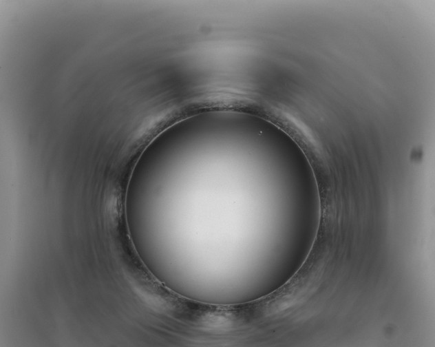 X0000094350119200711091501