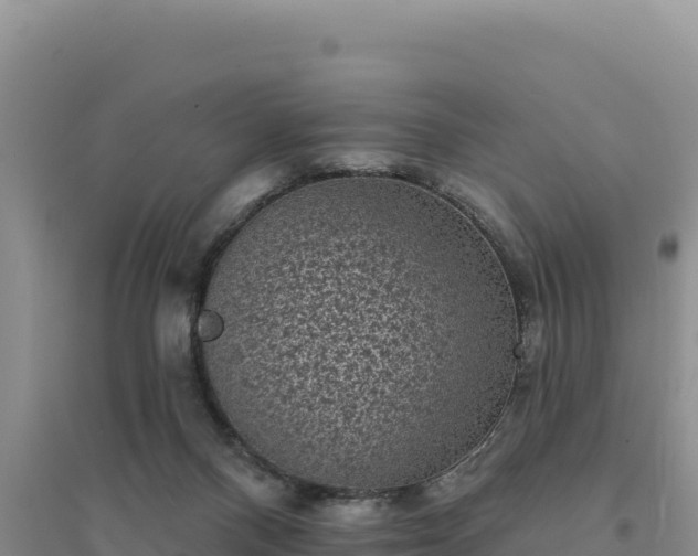 X0000094350120200711091501