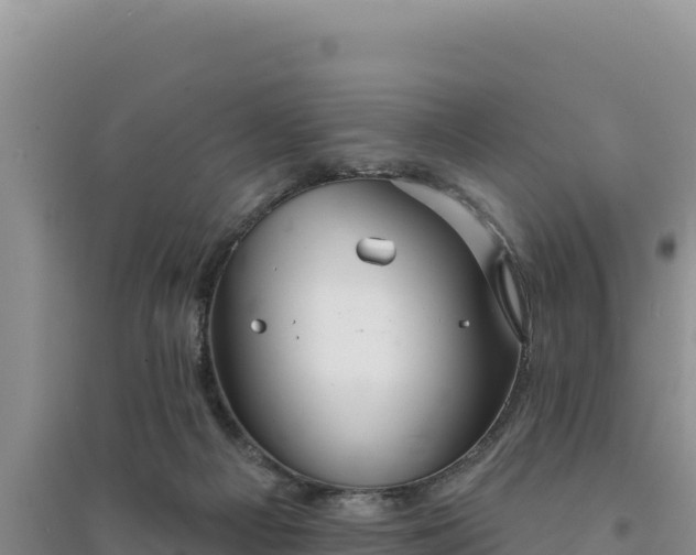 X0000094350121200711091501