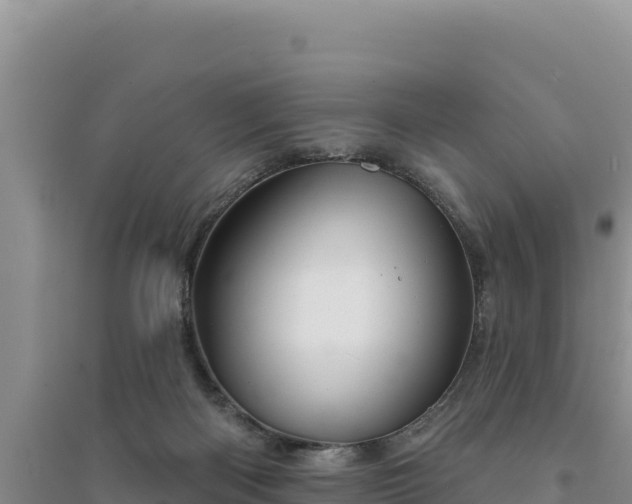 X0000094350122200711091501