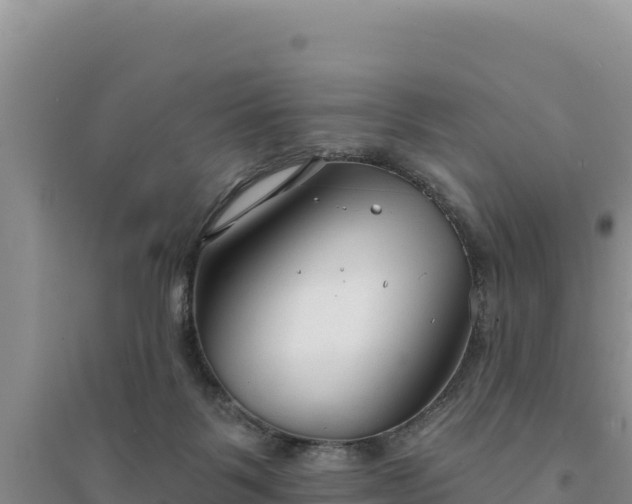 X0000094350123200711091501