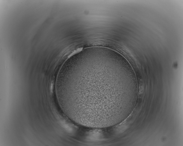 X0000094350124200711091501