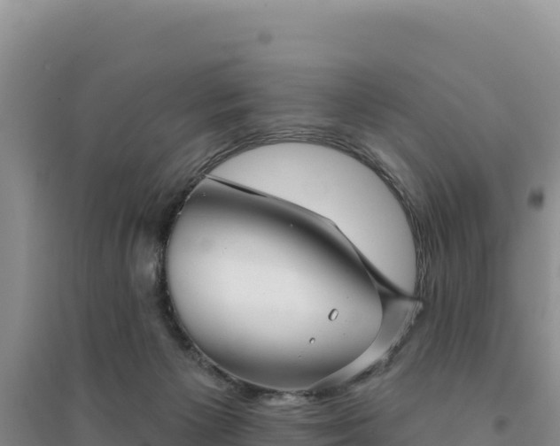 X0000094350125200711091501