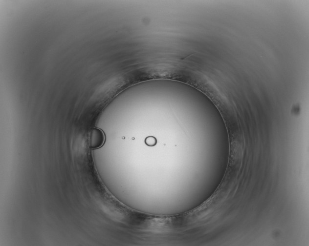 X0000094350126200711091501