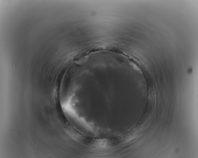 X0000094350127200711091501