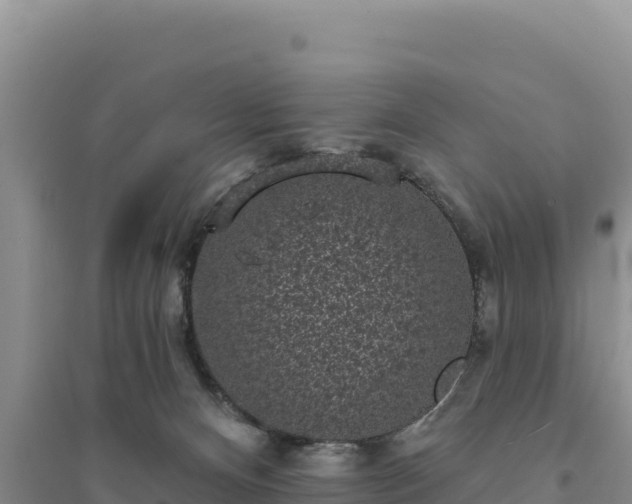 X0000094350128200711091501