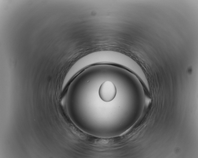 X0000094350129200711091501