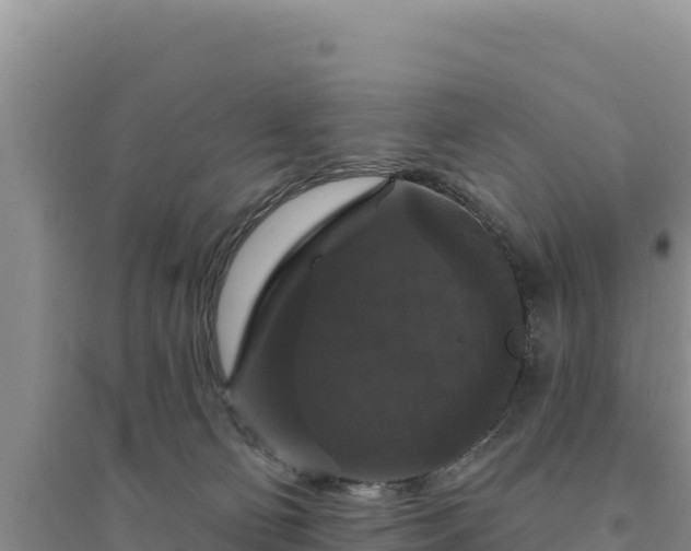 X0000094350130200711091501