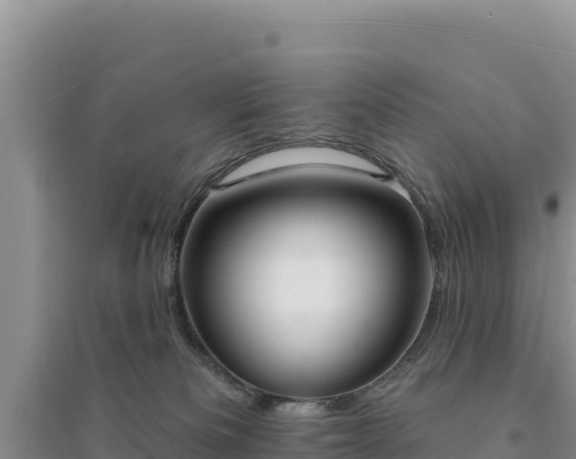 X0000094350133200711091501