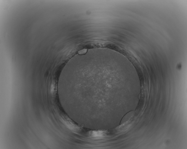 X0000094350134200711091501