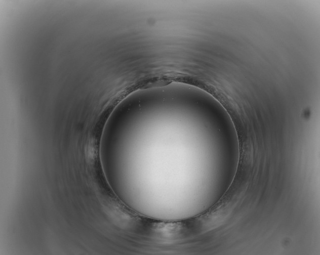 X0000094350135200711091501