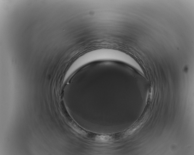 X0000094350137200711091501