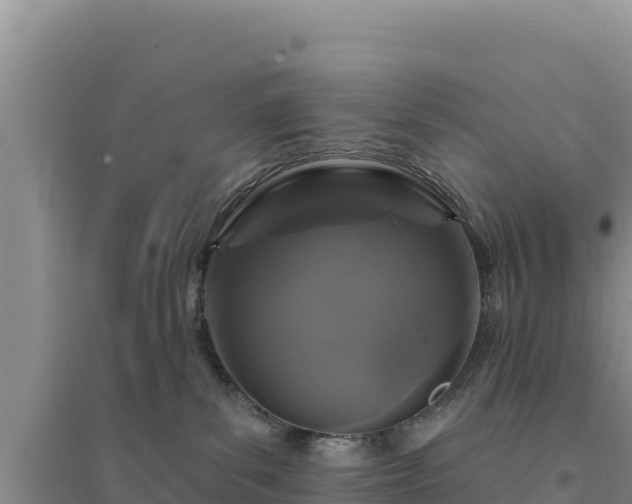 X0000094350139200711091501