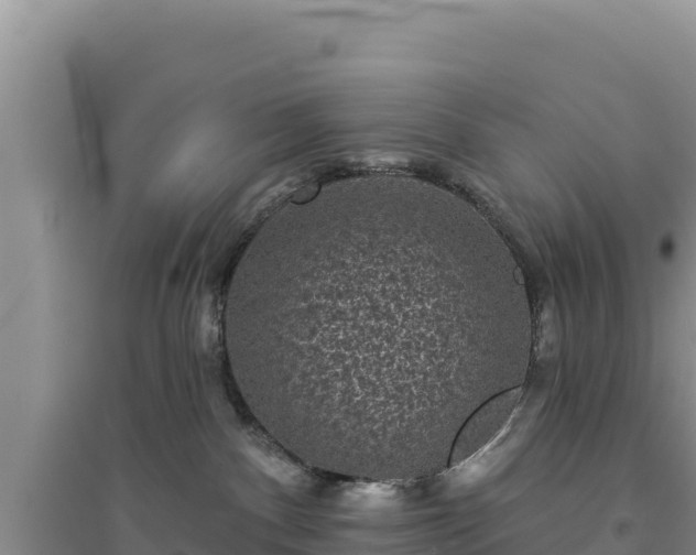 X0000094350140200711091501