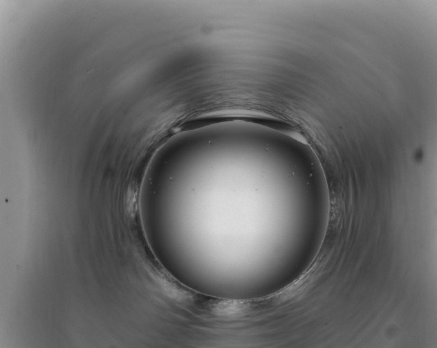 X0000094350142200711091501