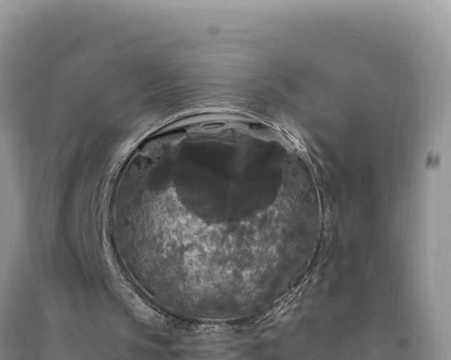 X0000094350145200711091500