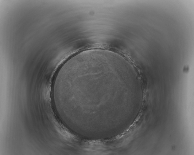 X0000094350146200711091500