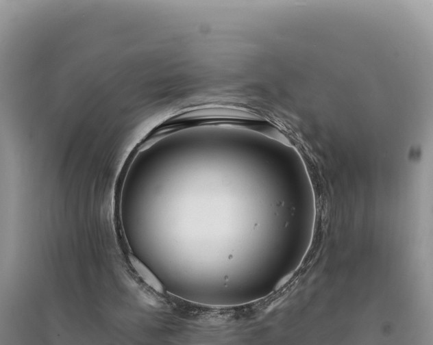 X0000094350148200711091500