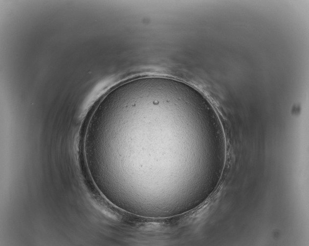 X0000094350151200711091500