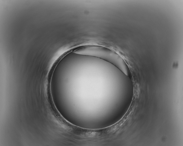 X0000094350152200711091500