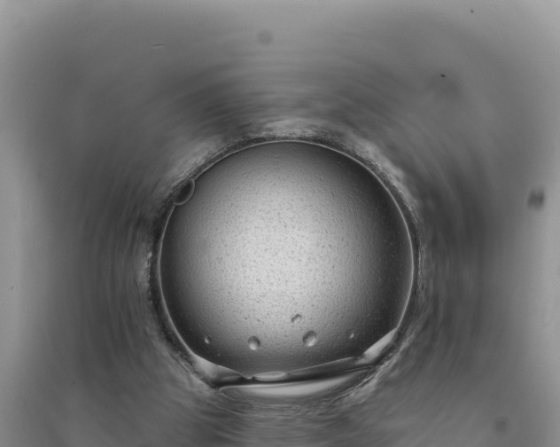 X0000094350153200711091500