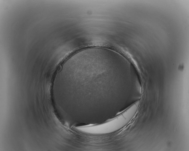 X0000094350154200711091500