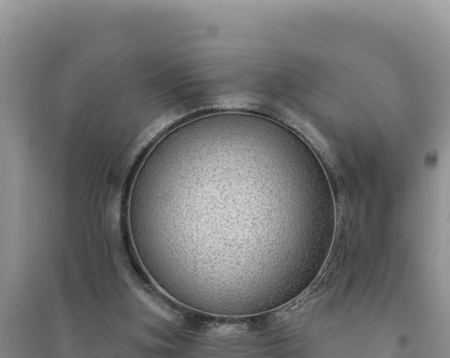 X0000094350155200711091500