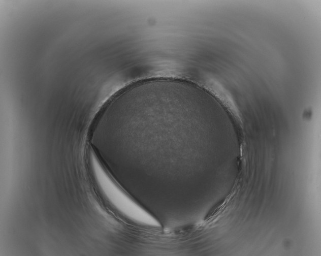 X0000094350156200711091500