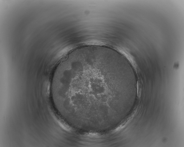 X0000094350157200711091500