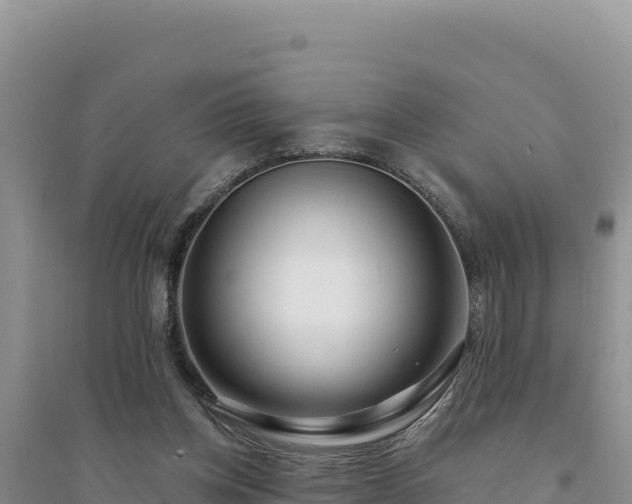 X0000094350158200711091500