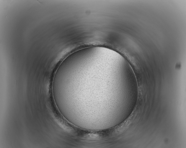 X0000094350159200711091500