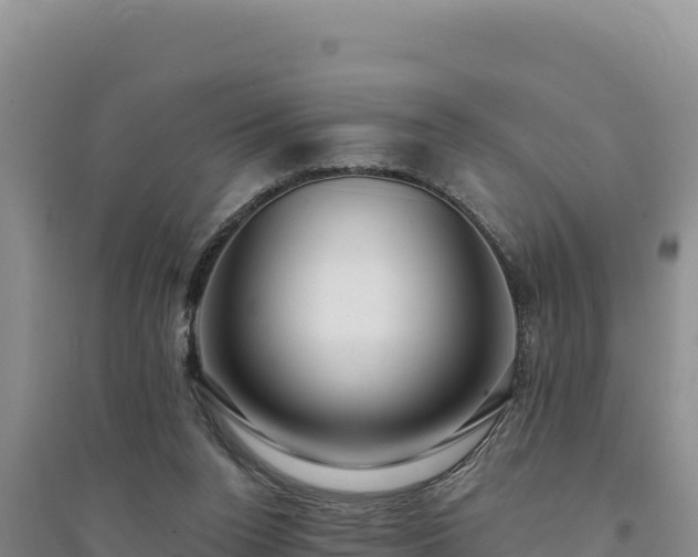 X0000094350160200711091500