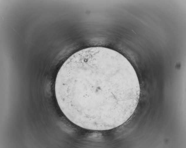 X0000094350162200711091500