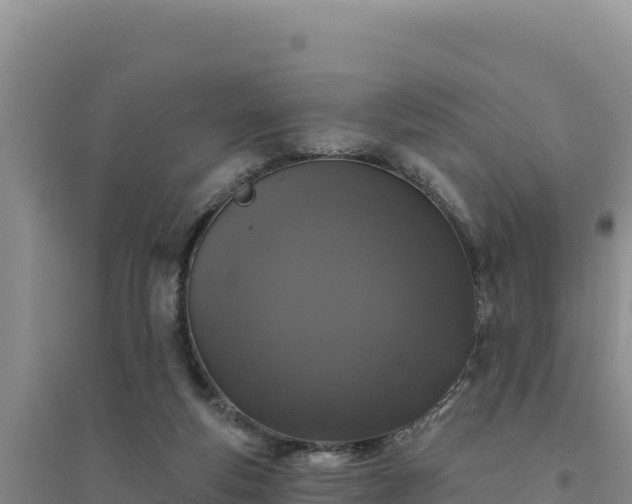 X0000094350163200711091500