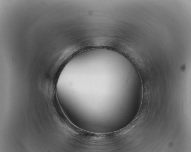 X0000094350164200711091500