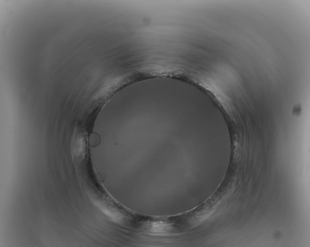 X0000094350165200711091500