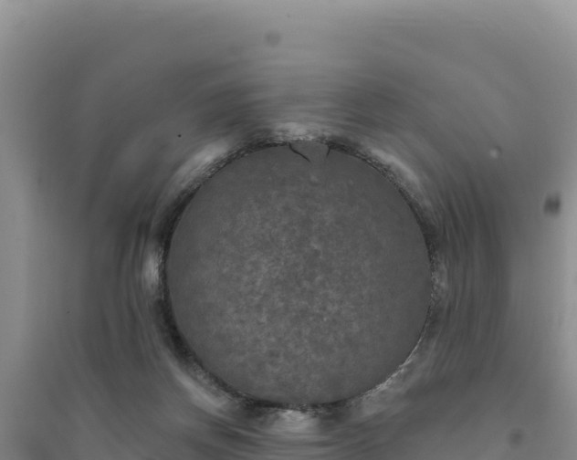 X0000094350166200711091500