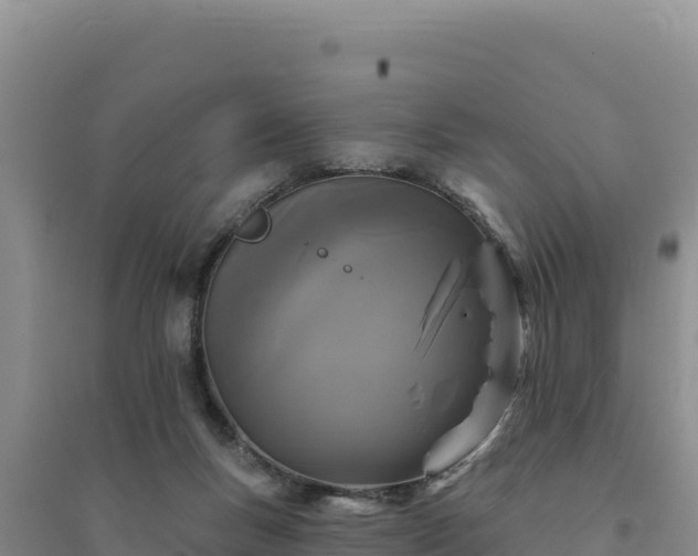 X0000094350167200711091500