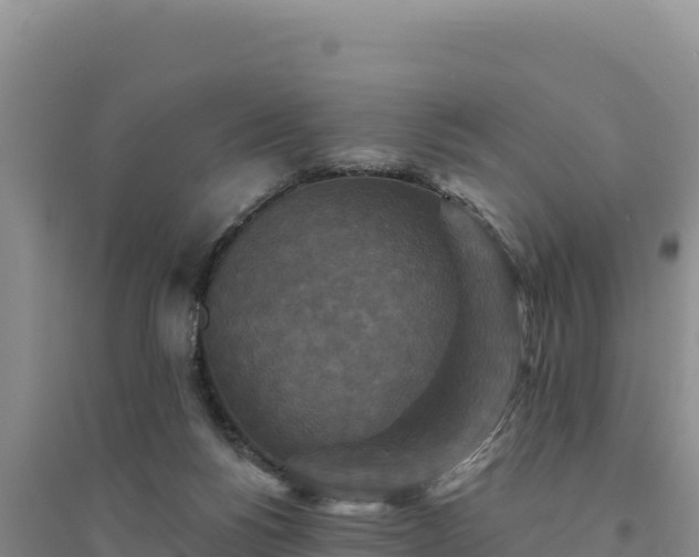 X0000094350168200711091500