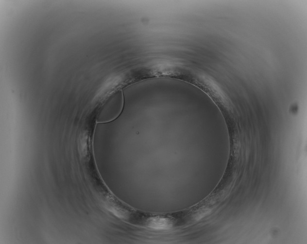 X0000094350169200711091500