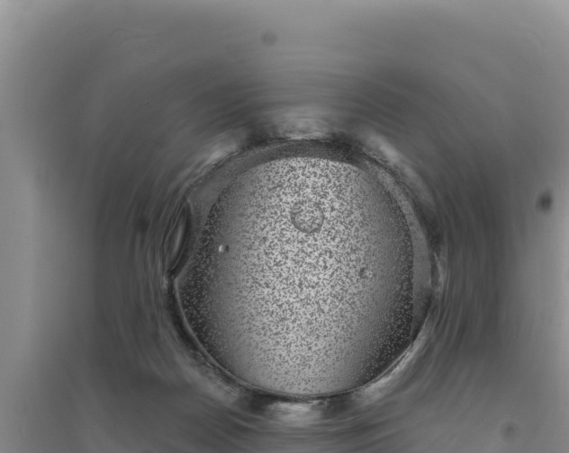 X0000094350170200711091500