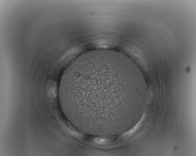 X0000094350174200711091500